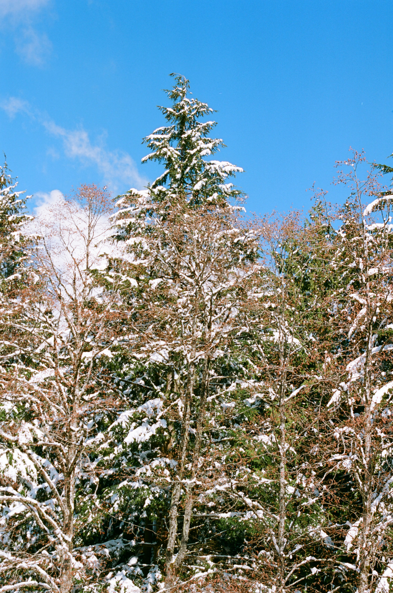 Illustration for article titled First roll of Ektar 100